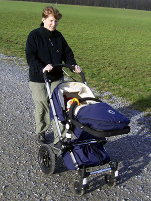 bugaboo frog kinderwagen