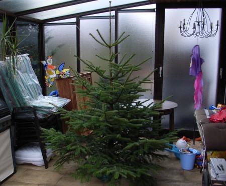Tannenbaum