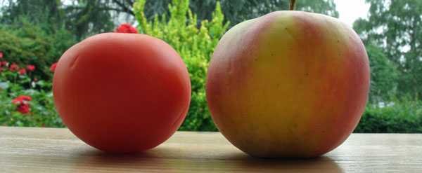 Tomate und Apfel